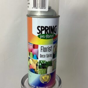 Silver Spring Florist Spray Paint