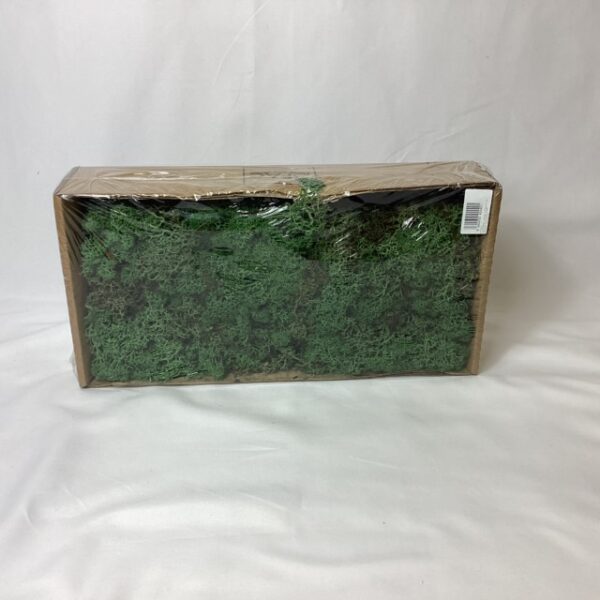 500g Finland/Reindeer (Box) Moss Dark Green