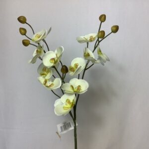 Artificial Baby Orchid Cream