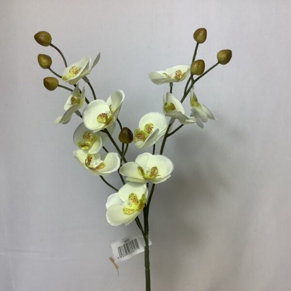 Artificial Baby Orchid Cream