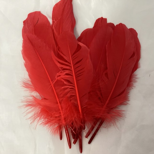 Goose Feathers (Pack) Red - Village Green