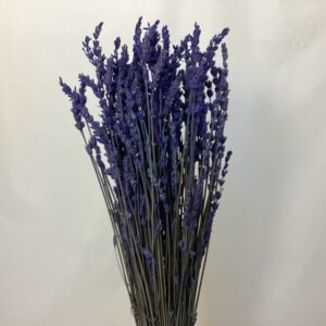 PRESERVED Lavender Purple 150g