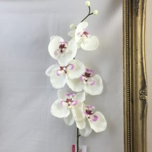 Artificial Alice Phalaenopsis Orchid White