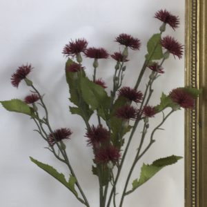 Burgundy Artificial Dry Look Amore SWEET Thistle Spray