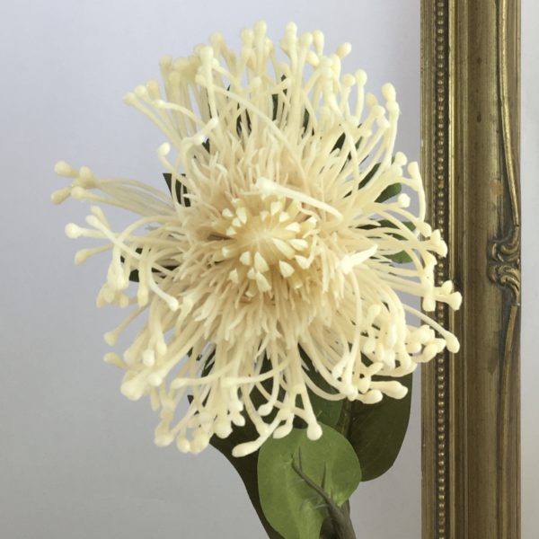 Artificial Dry Look Amore Single Leucospermum Protea Cream