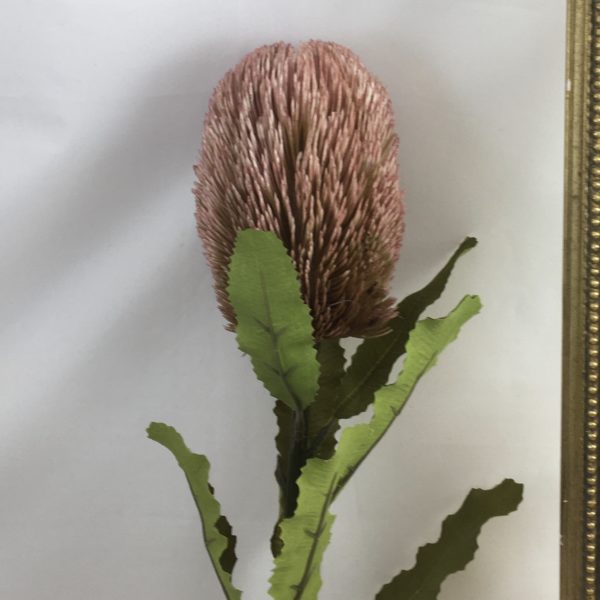 Pink Artificial Dry Look Amore Large Single Banksia
