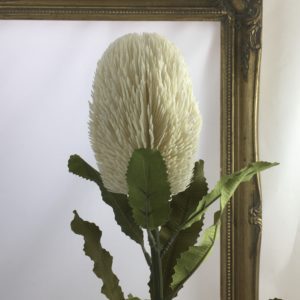 Artificial Dry Look Amore Large Single Banksia Cream