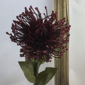 Burgundy Artificial Dry Look Amore Single Leucospermum Protea