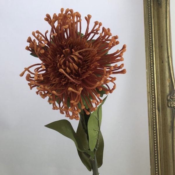 Orange Artificial Dry Look Amore Single Leucospermum Protea