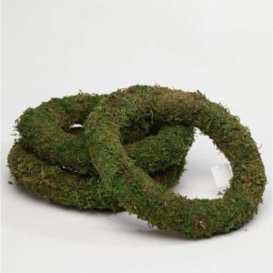 Moss Ring