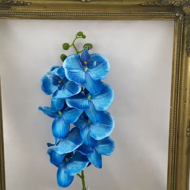 Blue artificial phalenopsis orchid