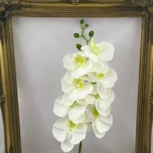 Ivory artificial phalenopsis orchid