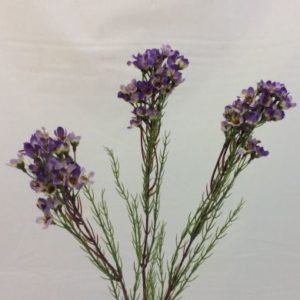 Purple Artificial wax flower spray