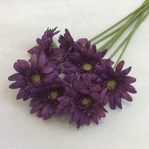 Mini Gerbera Bundle Purple