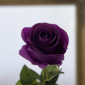 Artificial Single Harper Rose Purple