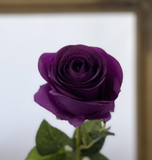 Artificial Single Harper Rose Purple
