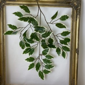 Artificial Deluxe Ficus Branch Variegated