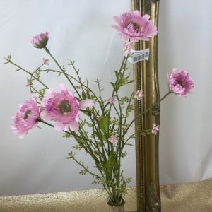 Daisy Meadow Grass (BUNDLE) Pink