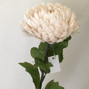 Artificial Single Chrysanthemum Barley Pink Champagne