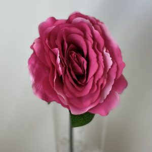 Artificial Single Tudor Rose (Short Stem) Hot Pink