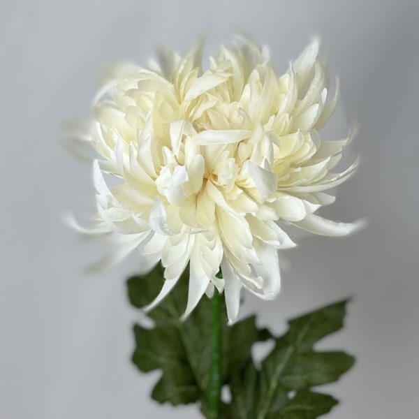 Artificial Single Spikey Chrysanthemum Ivory