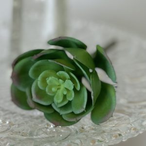 Artificial Lola Succulent Pick Natural/Green