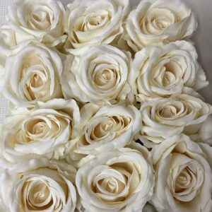 Artificial Large Rose Heads (Pack 12) Cream