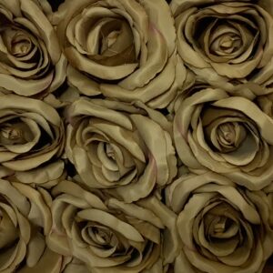 Artificial Large Rose Heads (Pack 12) Dark Beige