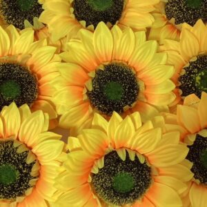 18cm LARGE Sunflower Head (Pack 12) Yellow