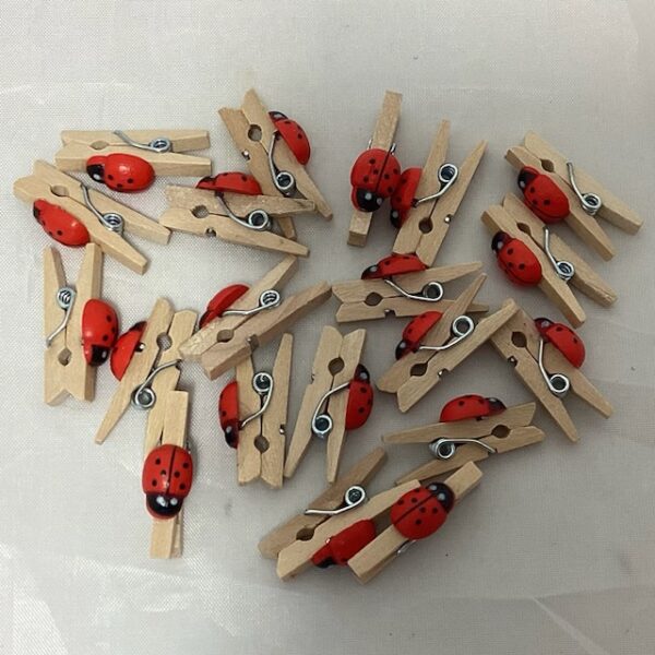 Pack 20 Ladybird on Pegs Embellishments (Carded) Red
