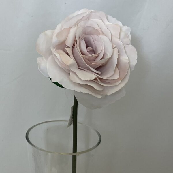 Single Tudor Rose (Short Stem) Nude