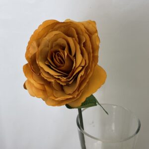 Single Tudor Rose (Short Stem) Burnt Orange