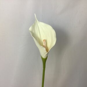 Artificial SINGLE Large Calla Lily – Cream