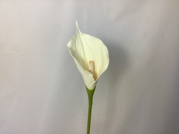 Artificial SINGLE Large Calla Lily – Cream
