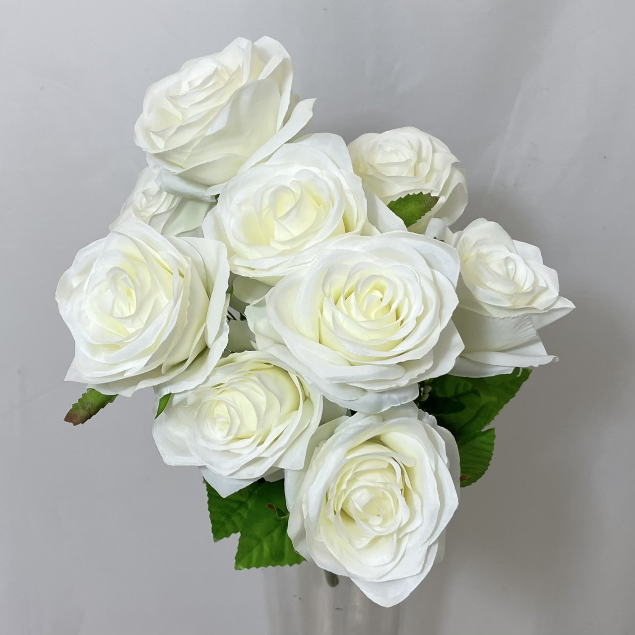 Open Rose BUSH White/Pale Ivory - Village Green