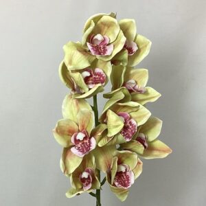 Artificial Real Touch Cymbidium Orchid Spray Green