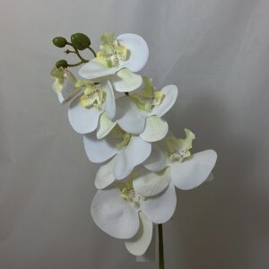 Artificial Phalenopsis Orchid Ivory