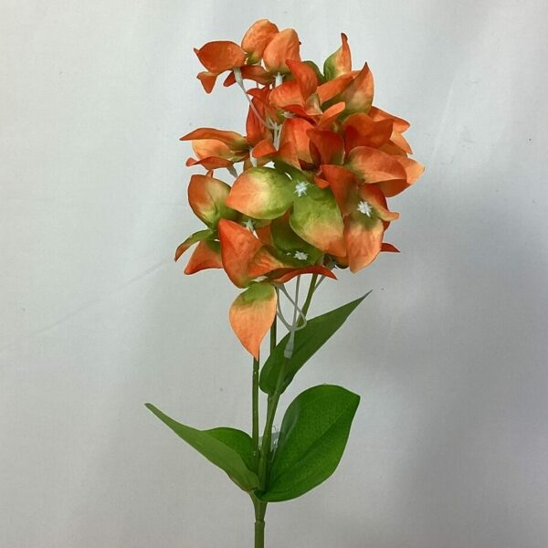 Yara Flower Spray Orange