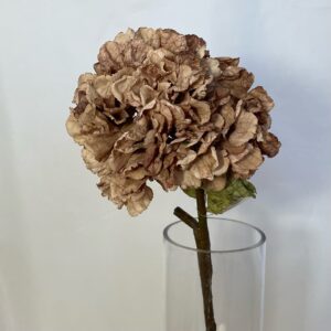 Dried, Touch, Ruffled, Hydrangea, Cappuccino, natural, artificial, silk, flowers, wedding