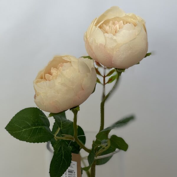 Artificial Leah Double Rose Open Pale Peach/Salmon
