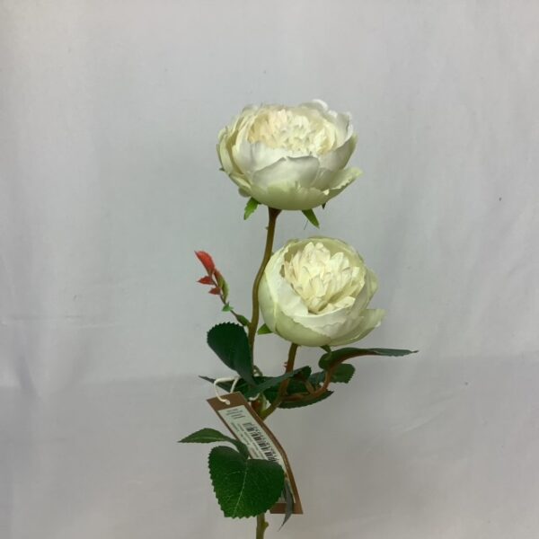 Leah Double Rose Open White