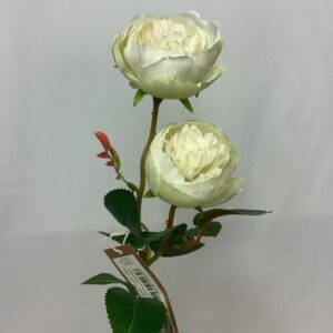 Leah Double Rose Open White