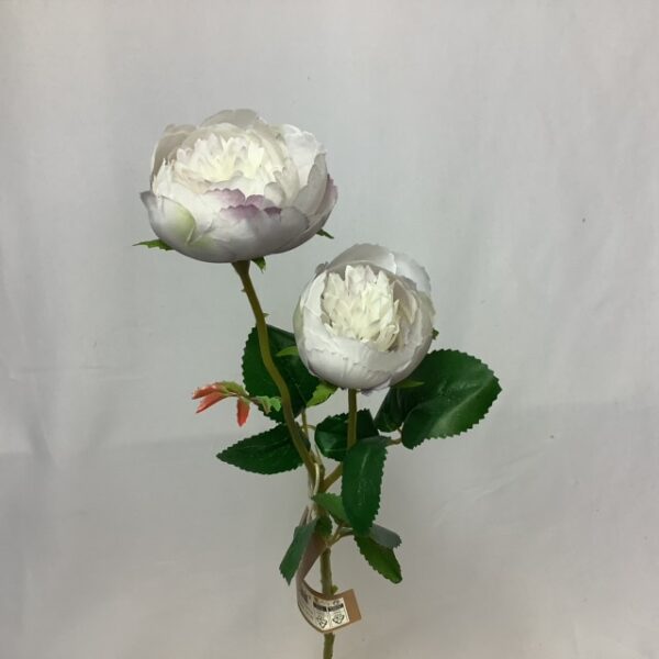 Leah Double Rose Open Lilac