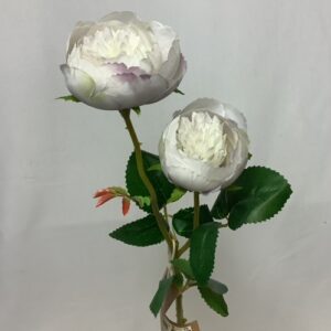 Leah Double Rose Open Lilac
