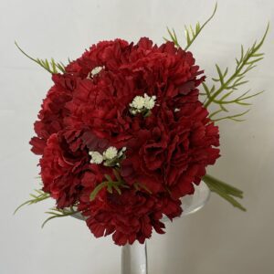 Carnation / Asparagus Fern (Bundle) Red