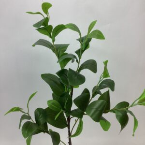 Artificial Large Clusia Leaf Spray Green