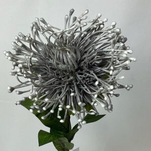 Grey Artificial Dry Look Plastic Amore Single Leucospermum Protea