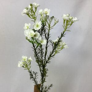 Artificial Wax Flower Spray Cream Ivory