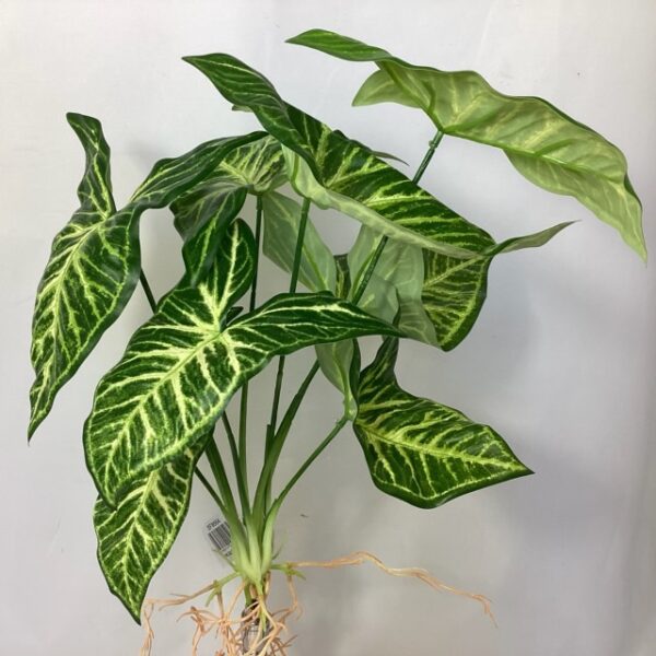 Artificial Syngonium Leaf Plant with Roots Green