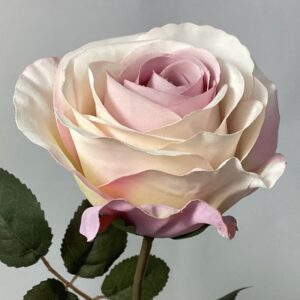 Light Pink Artificial Eloise Single Open Rose